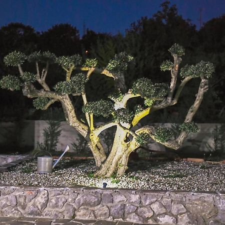 *****Pool House With Beautiful Seaview,Big Garden And Old Tavern***** Rijeka Zewnętrze zdjęcie